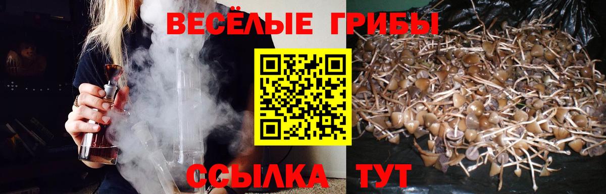 купить наркотики цена  Галлюциногенные грибы мицелий  Вход с VPN  Кинешма 